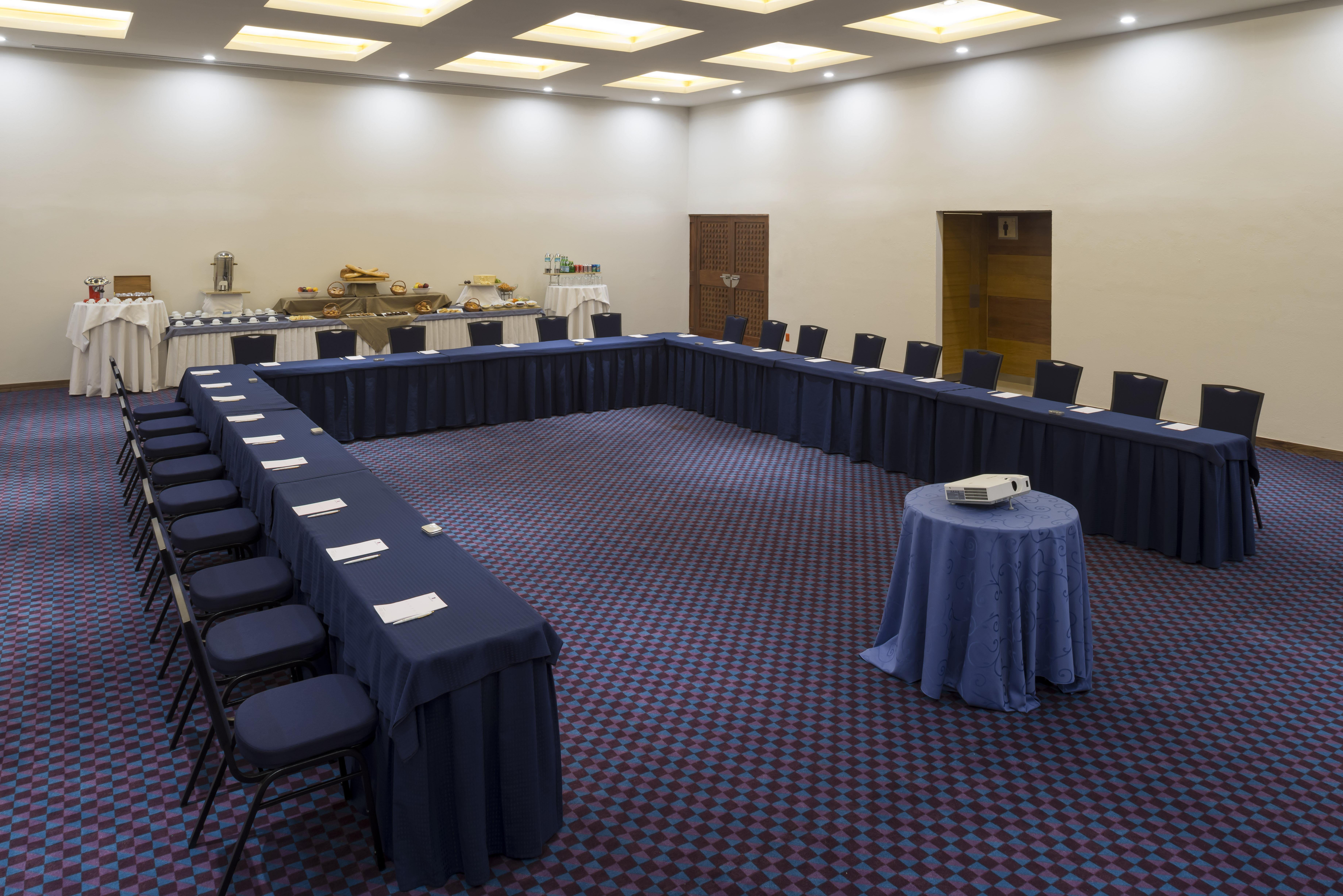 墨西哥佩德雷加尔卡米奥真实酒店 墨西哥城 外观 照片 A meeting room at the Sheraton Vistana Resort