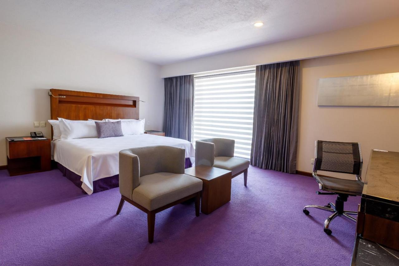 墨西哥佩德雷加尔卡米奥真实酒店 墨西哥城 外观 照片 A room at the hotel
