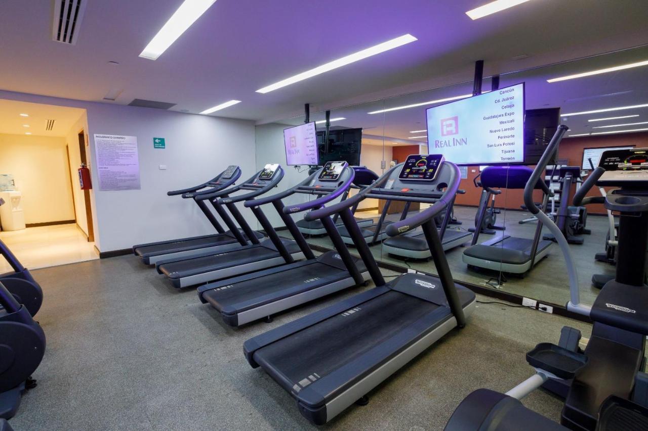 墨西哥佩德雷加尔卡米奥真实酒店 墨西哥城 外观 照片 The gym at the hotel