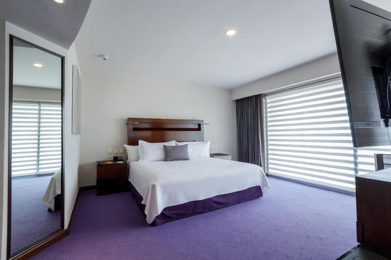 墨西哥佩德雷加尔卡米奥真实酒店 墨西哥城 外观 照片 A bedroom at the hotel