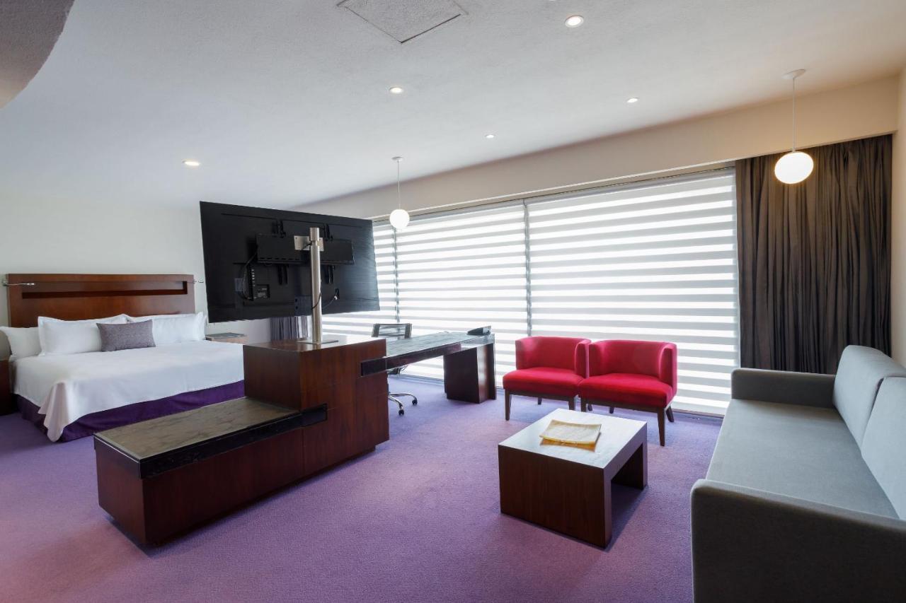 墨西哥佩德雷加尔卡米奥真实酒店 墨西哥城 外观 照片 A suite at the hotel