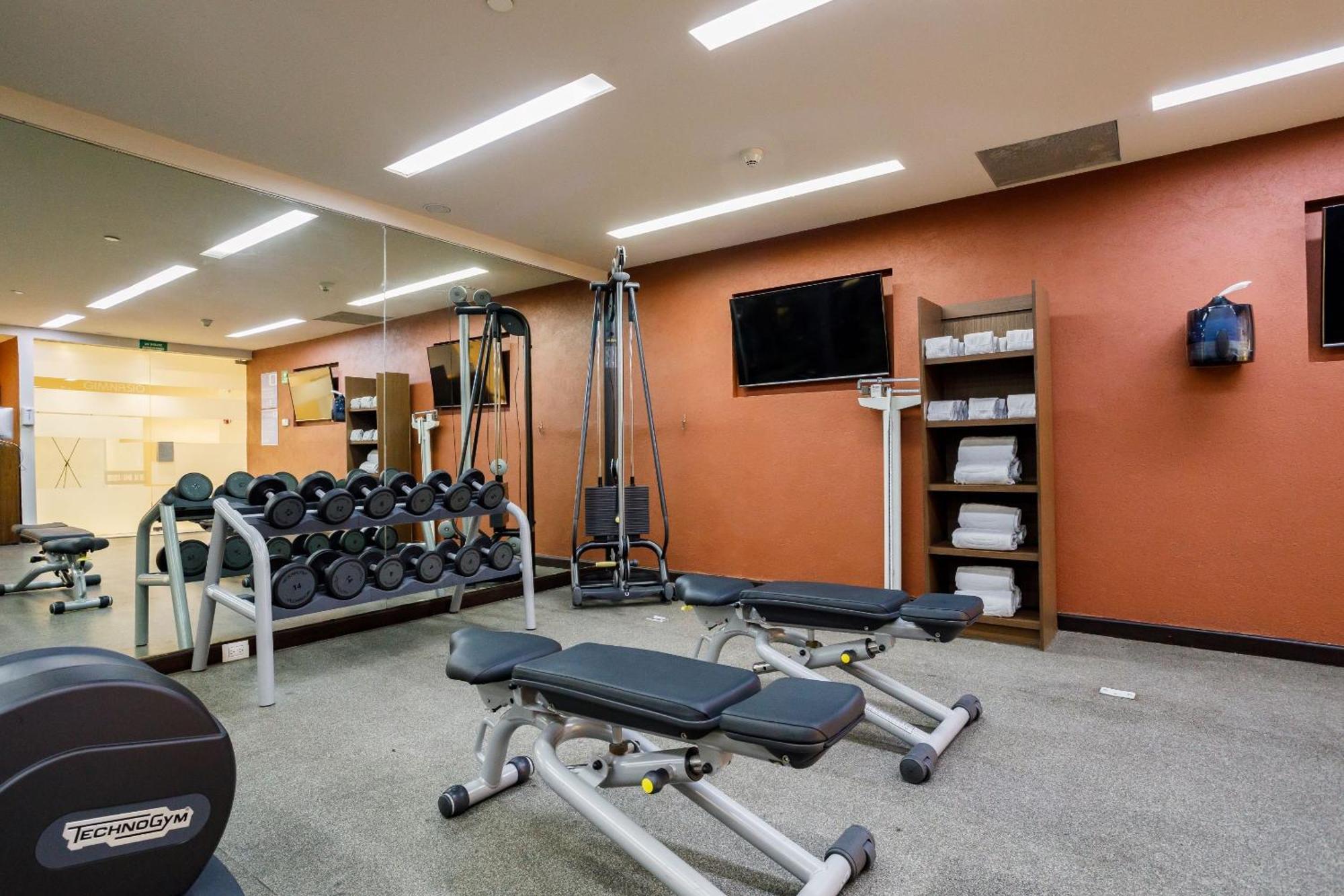 墨西哥佩德雷加尔卡米奥真实酒店 墨西哥城 外观 照片 The gym at the hotel